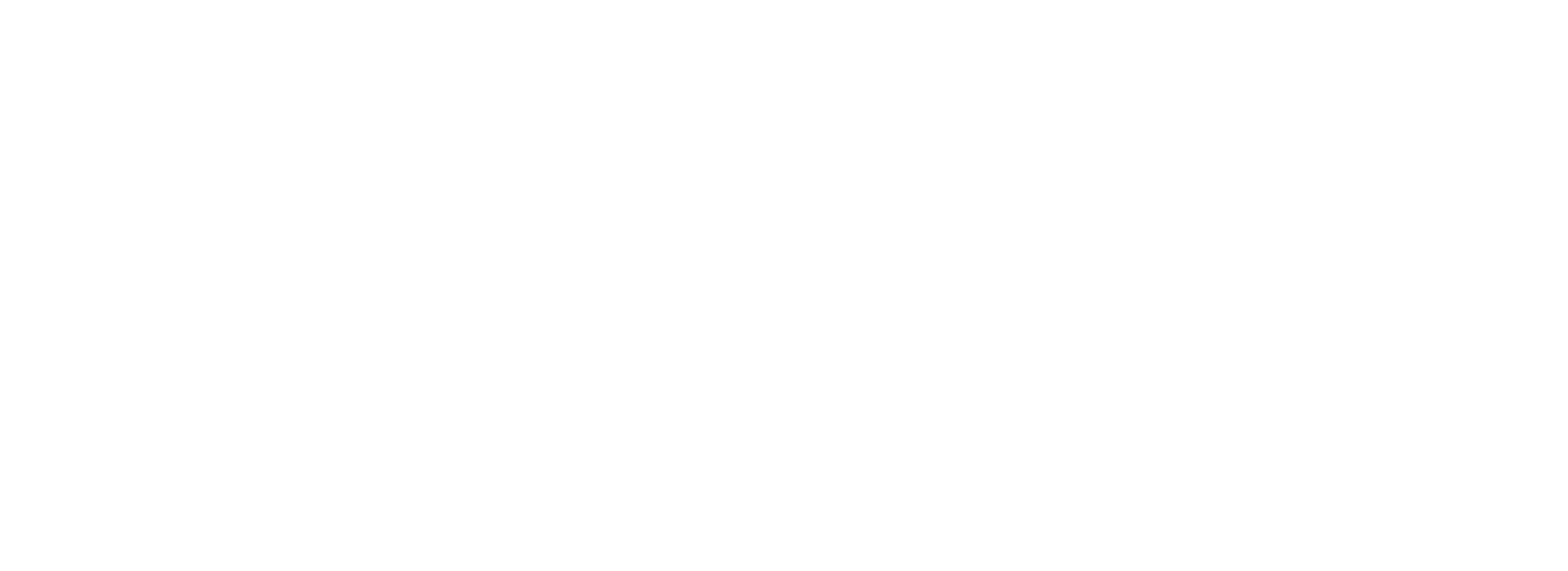 Lifemaxx